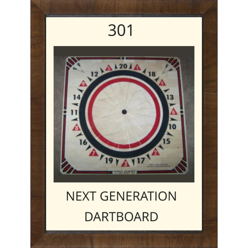 Pro Dart Red/Black Dart Board