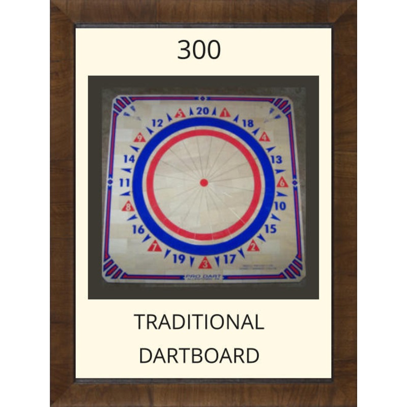 Pro Dart Red/Blue Dart Board